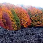 ベッド・アンド・ブレックファスト Sotto Il Vulcano 3*