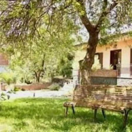 Sotto Il Vulcano 3* Николози