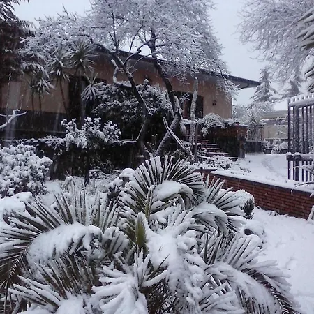 Sotto Il Vulcano 3* Николози