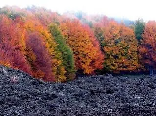 فندق مبيت وإفطار Sotto Il Vulcano 2*