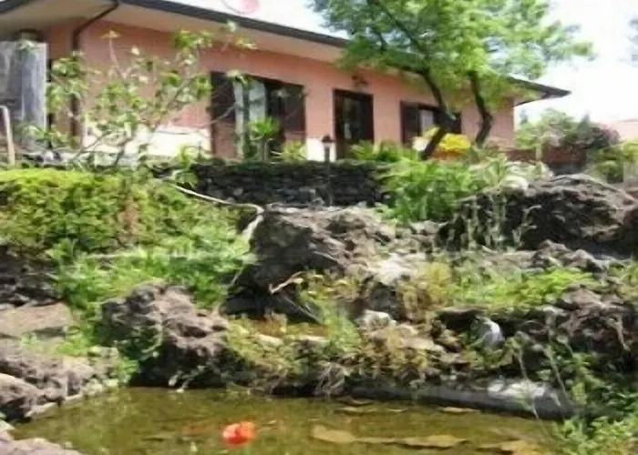 火山腹地住宿加早餐酒店 3* 尼科洛西